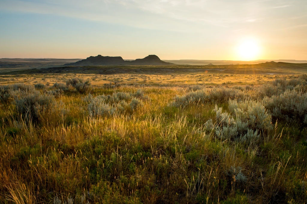 A view of rock formations in the desert