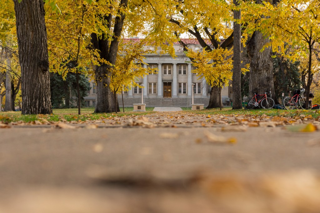 CSU Main Campus in the autumn