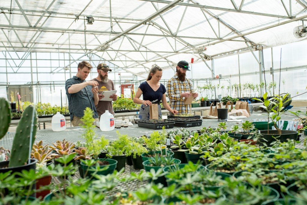 Student researchers at a CSU greenhouse, working with plants.