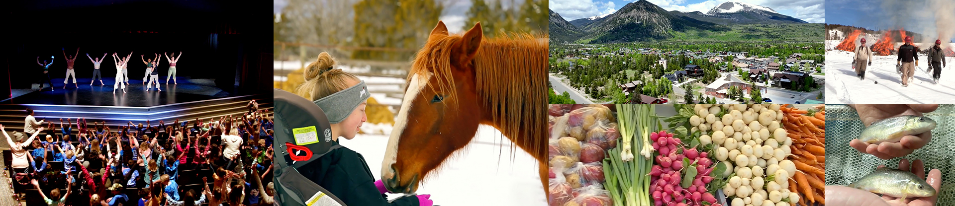 A collage showcasing various aspects of rural life, including a stage performance, a child feeding a horse, a mountain town, a controlled burn, fresh produce at a market, and hands holding small fish.