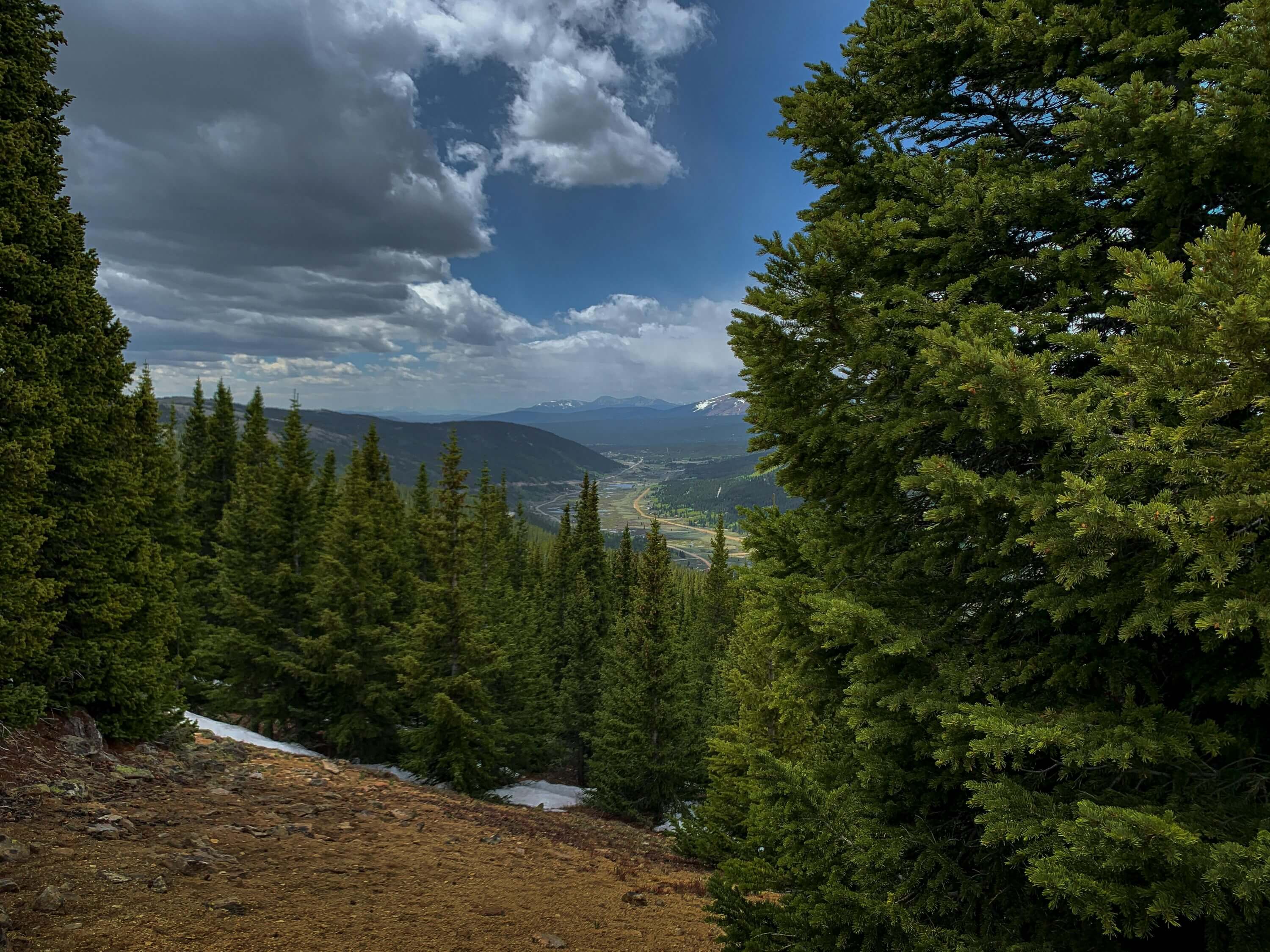 View through evergreen trees looking down a mountain valley with dense forest, cloudy skies, and distant snow-capped peaks.