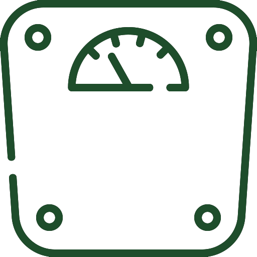 Scale icon
