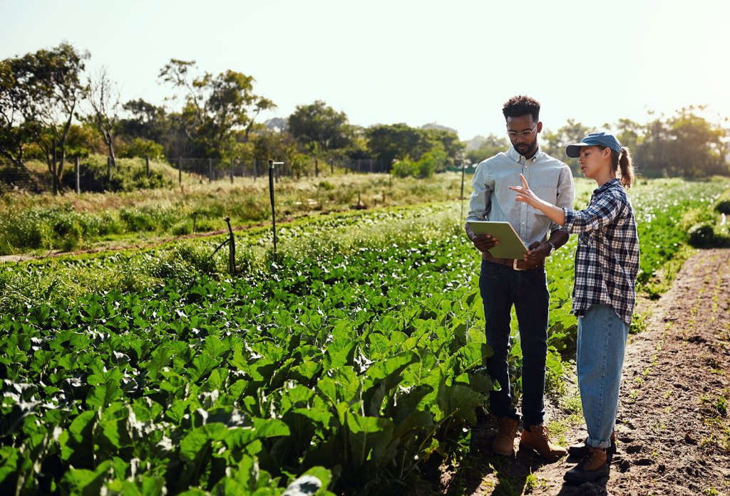 Two people discuss agribusiness near a field of crops.