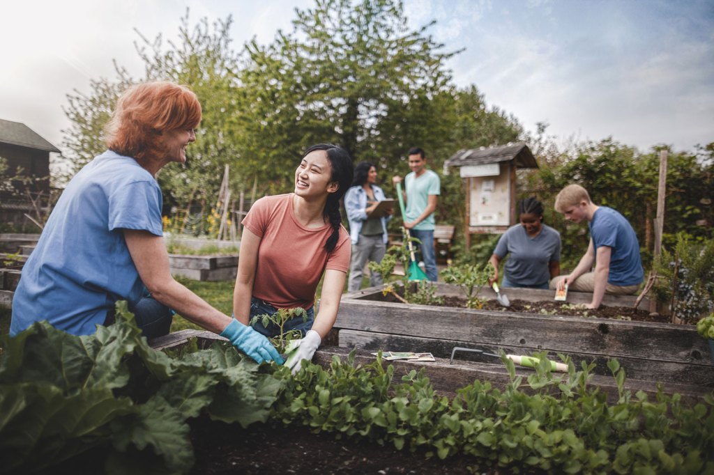 A group of people gardening in a neighborhood.