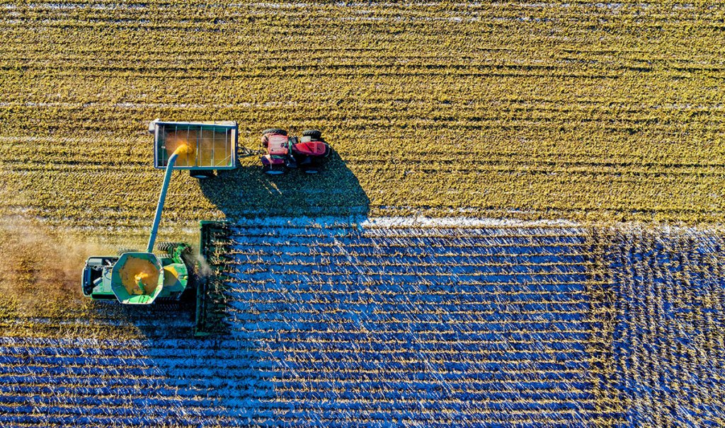 An aerial view of farmland during harvest season, showcasing two tractors and a grain harvester collecting crops from golden fields.