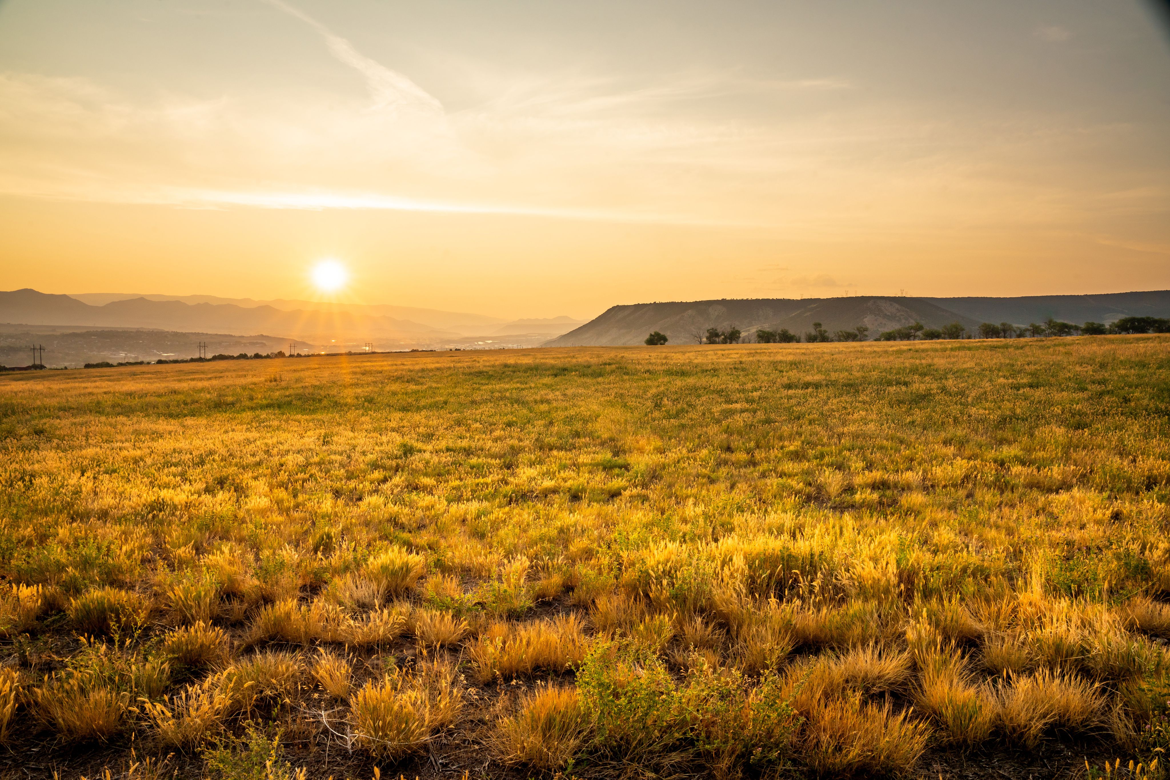 A scenic view of a golden field at sunset, with mountains in the distance under a clear sky.