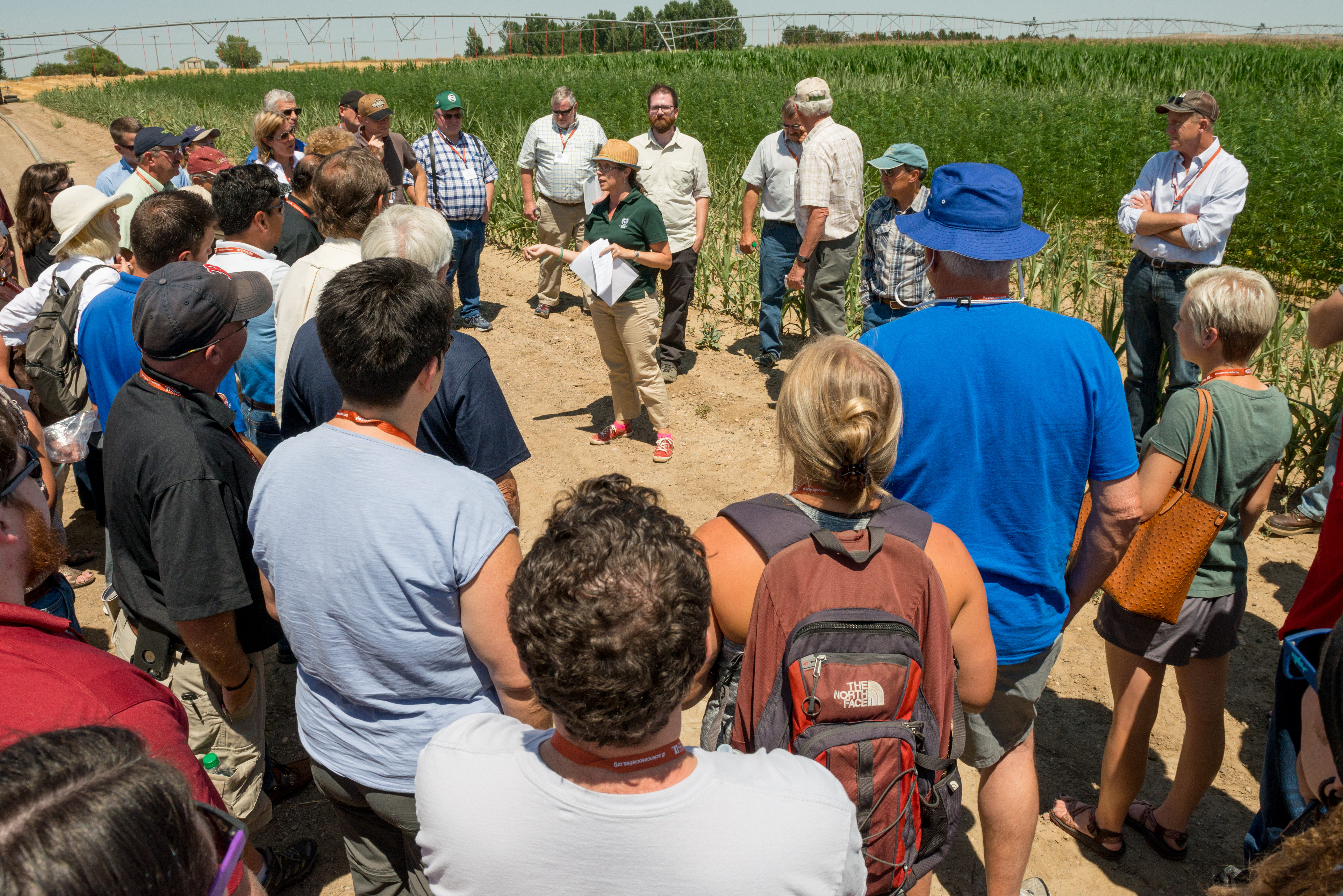 A group of people stand in a circle at the side of a field.