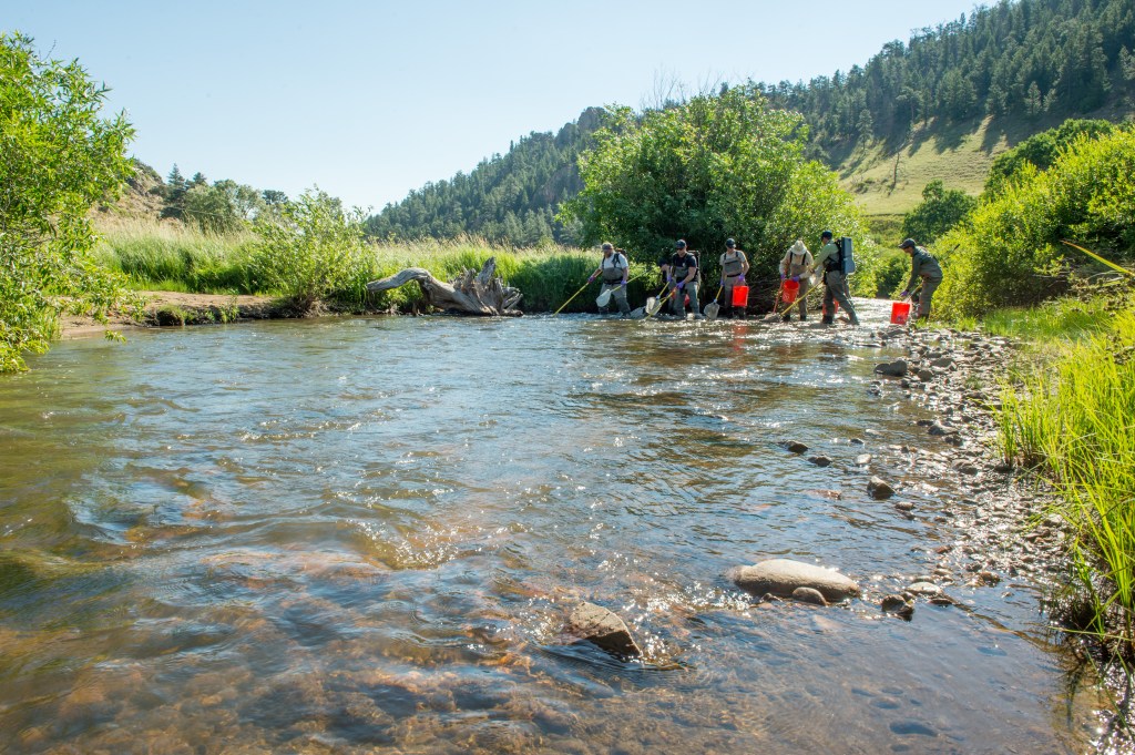 A group of people standing near the edge of a river, some holding buckets and nets, appearing to conduct a water-based research activity in a scenic, forested area.