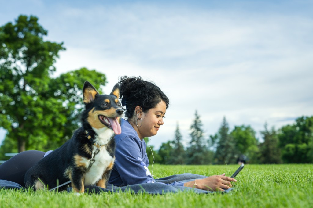 A person lying on a blanket in a park, using a tablet, with a dog sitting beside them on a sunny day.