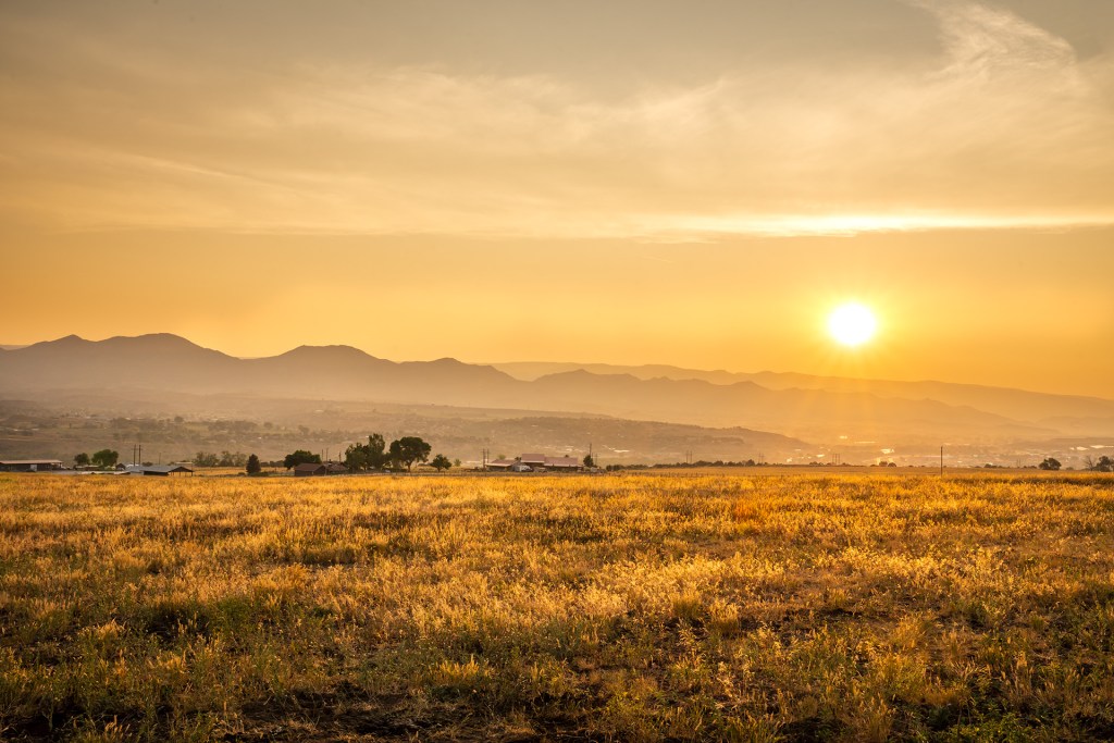 A scenic view of a golden field at sunset, with mountains in the distance under a clear sky.