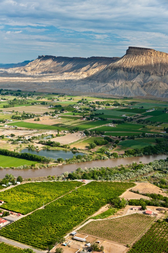 Aerial view of orchards on Orchard Mesa and the Colorado River with Mount Garfield in the background