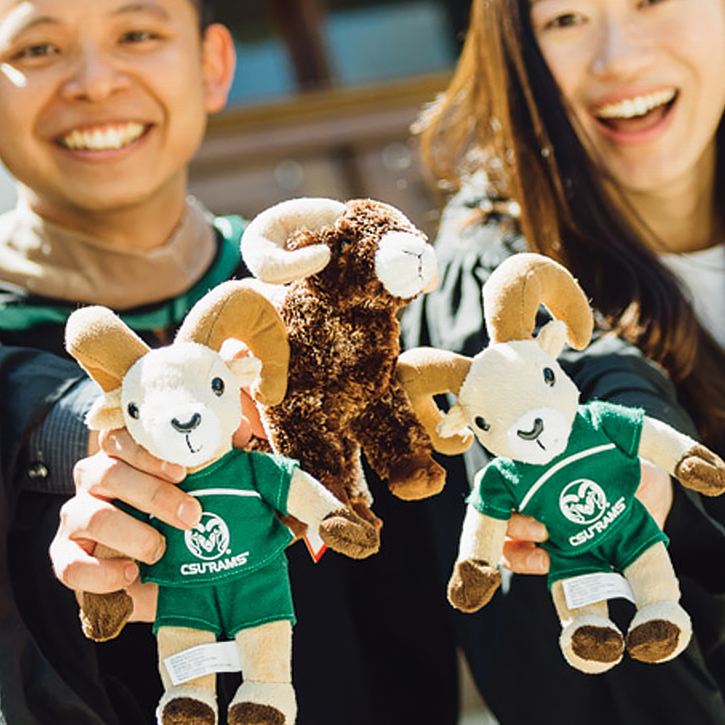 People holding up stuffed toy versions of CAM the Ram, the Colorado State University mascot, while smiling and posing for a photo.