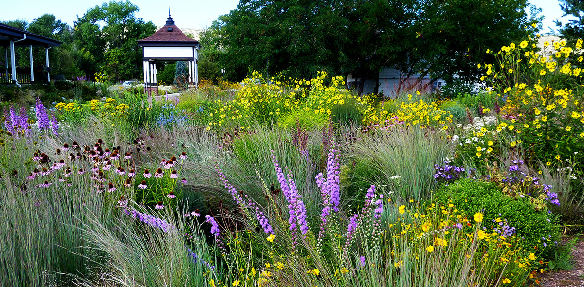 A vibrant garden filled with various wildflowers in shades of purple, yellow, and red, surrounded by tall grasses. In the background, there is a white gazebo with a dark roof, partially obscured by trees.