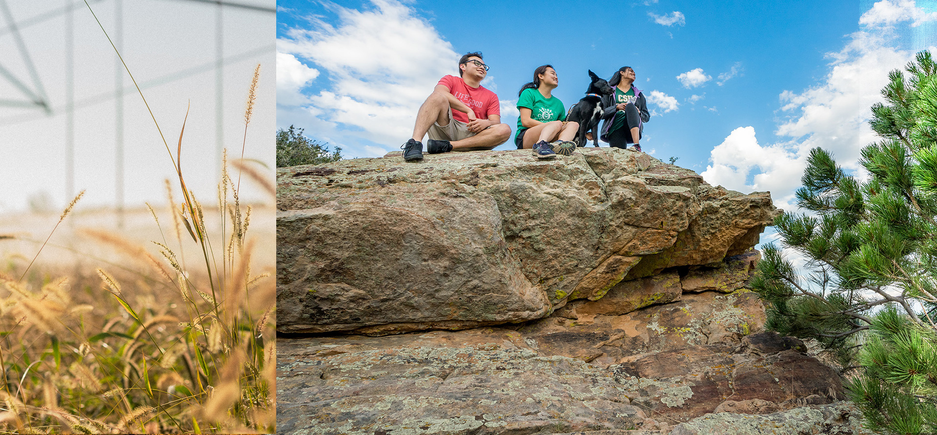 Three people sitting on a large rock ledge with a dog, enjoying a scenic view under a bright blue sky with clouds, surrounded by trees and nature.