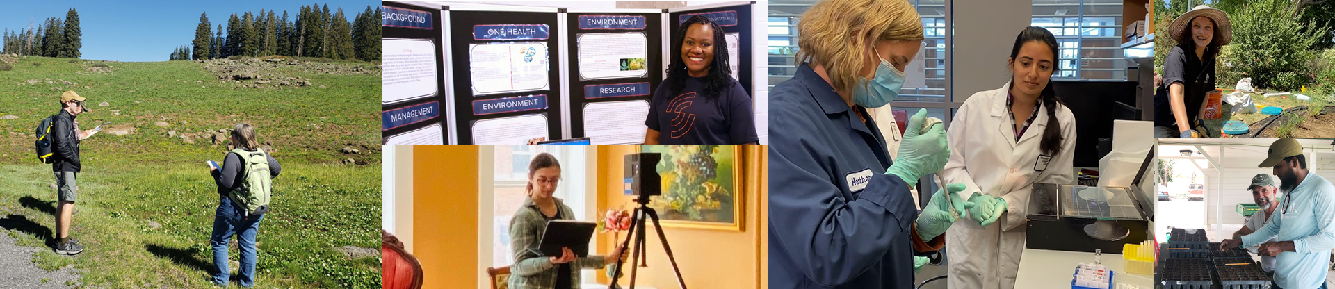 A collage of images featuring various research and fieldwork activities, including two people conducting field research outdoors, a person presenting research at a poster session, a student recording a video with a tripod, scientists working in a lab, and individuals planting in a garden.