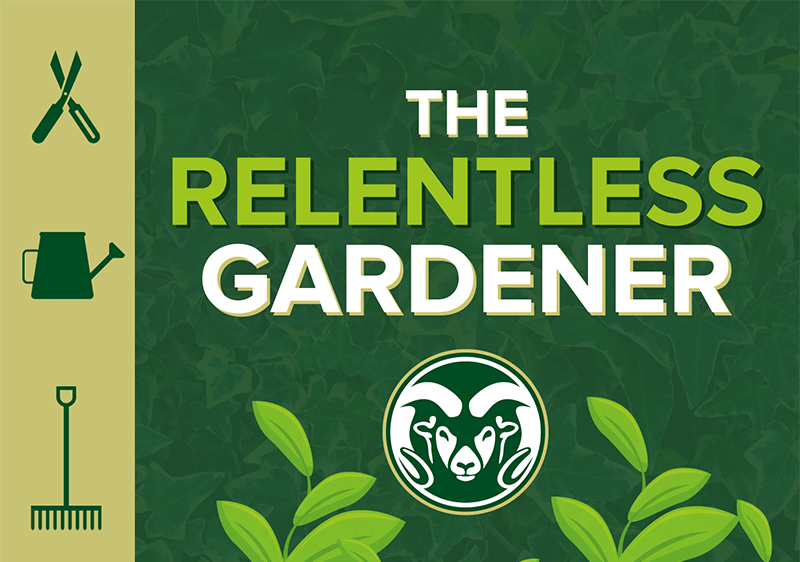 A graphic design featuring the words "The Relentless Gardener" with a CSU Rams logo, surrounded by gardening tools and plants.