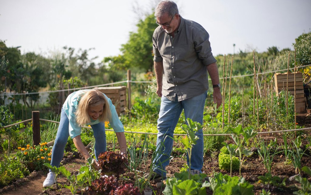 Two people working together in a garden, with one person bending down to tend to plants while the other stands nearby.