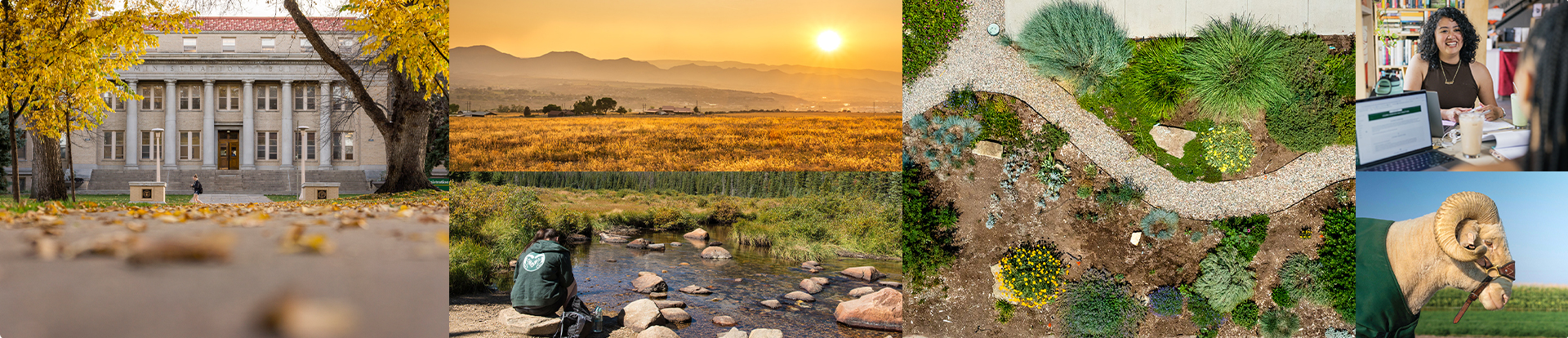 A collage of various scenes: a university building in autumn, a sunrise over a field, a person by a creek, a landscaped garden, a woman working on a laptop, and a ram outdoors.