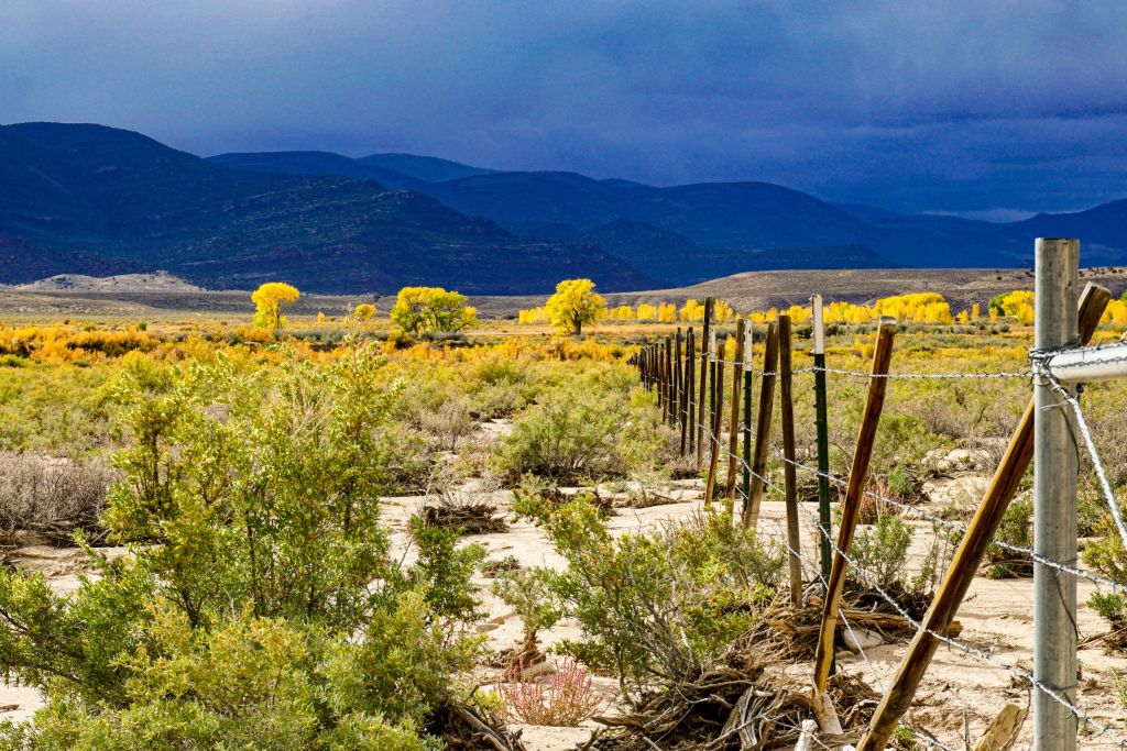 A barbed wire fence running through a semi-arid landscape with green and yellow shrubs, set against a backdrop of dark, stormy mountains.