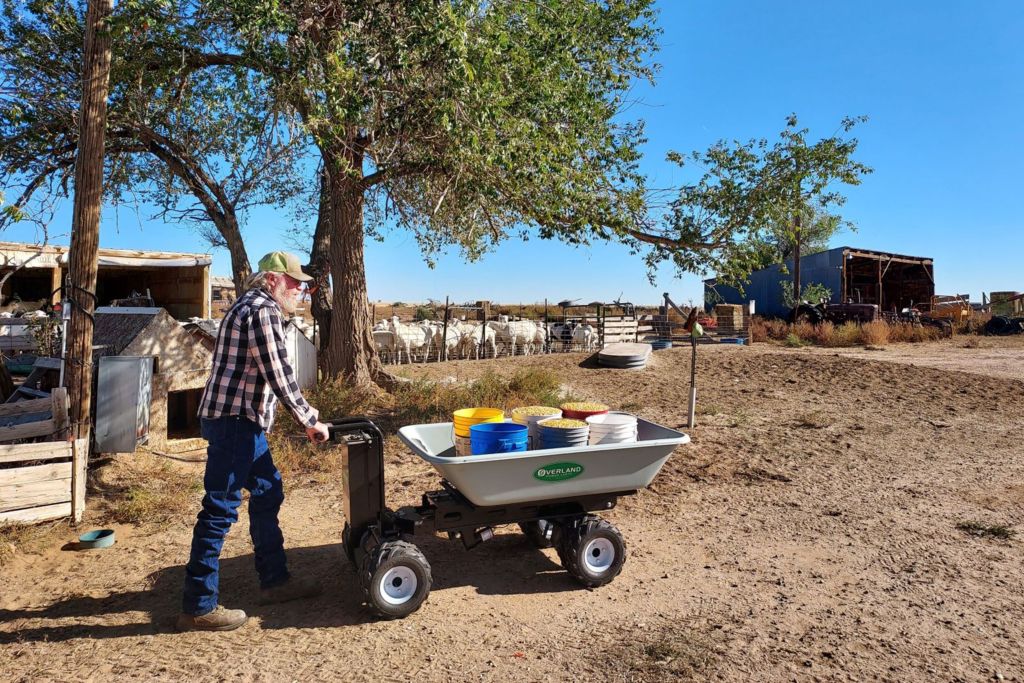 An elderly man with a white beard pushes a utility cart filled with buckets on a farm, with sheep in a pen and a barn in the background.