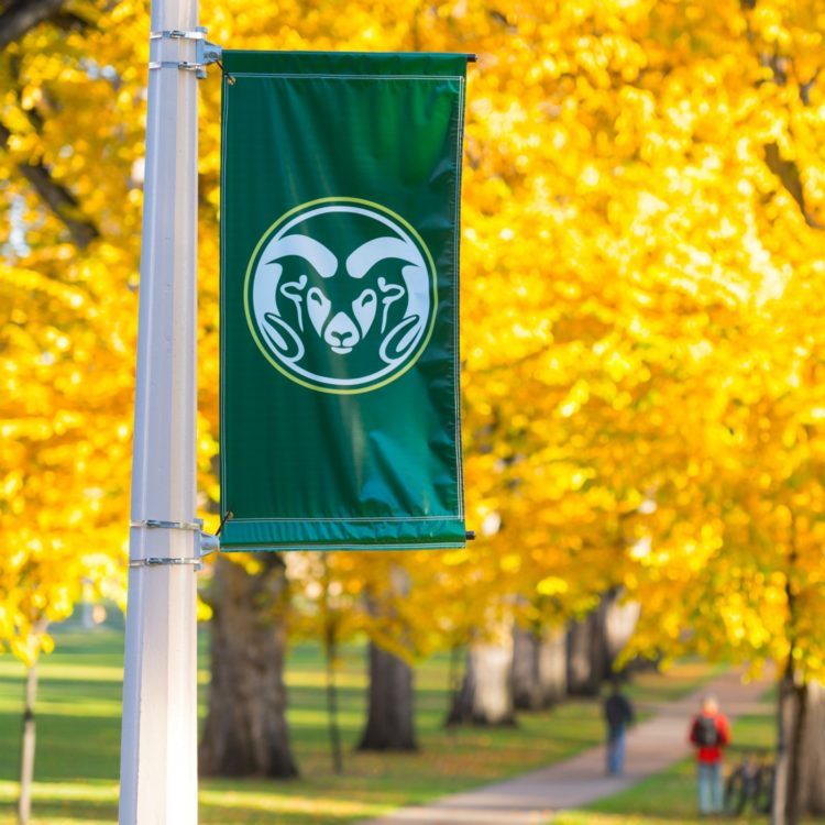 A CSU flag held up on a flagpole with autumn colored leaves behind it.