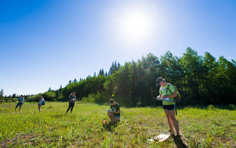 Colorado State University Warner College of Natural Resources take a field exam on the Pingree Park Campus in the NR 220 Natural Resources Ecology and Measurements course,